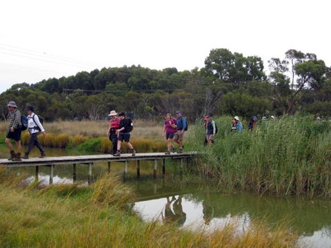 Lavender Federation Trail - Gold Coast 4U 1