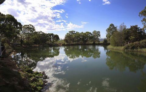 Maggie Beer's Farm Shop - Accommodation Gold Coast 6