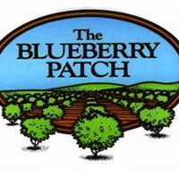 The Blueberry Patch - 1 Gold Coast
