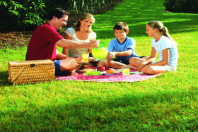 Bruny Island Berry Farm - Accommodation Gold Coast 0