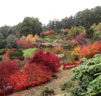 Emu Valley Rhododendron Garden - Accommodation Gold Coast
