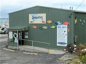 Stanley Seaquarium - Accommodation Gold Coast 0