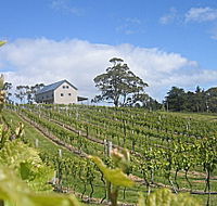 Bruny Island Premium Wines Bar and Grill - Accommodation Gold Coast