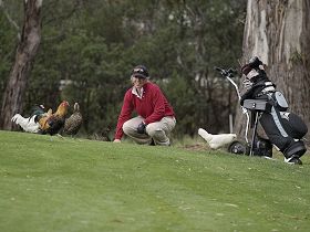 Tasmania Golf Club - The - Accommodation Gold Coast 0