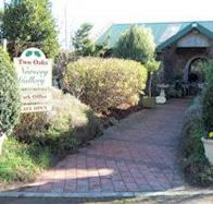 Two Oaks Nursery Gallery and Cafe - Accommodation Gold Coast