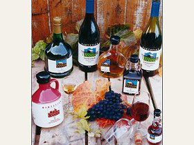 Hartzview Vineyard - Accommodation Gold Coast 0