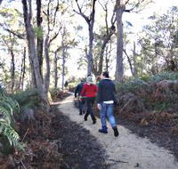 Bridport Walking Track - Accommodation Gold Coast