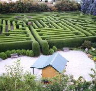 Westbury Maze and Tea Room - Accommodation Gold Coast
