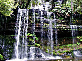 Mt Field National Park - Accommodation Gold Coast 0
