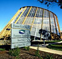 Forest EcoCentre - Accommodation Gold Coast