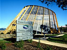 Forest EcoCentre - Accommodation Gold Coast 0