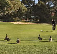 Royal Hobart Golf Club - Accommodation Gold Coast