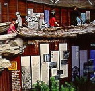 West Coast Visitor Information and Booking Centre - Accommodation Gold Coast