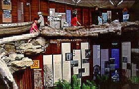 West Coast Visitor Information And Booking Centre - Accommodation Gold Coast 0