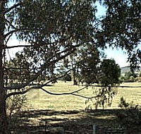 Cygnet Public Golf Course - Accommodation Gold Coast