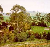The Tasmanian Arboretum - Accommodation Gold Coast