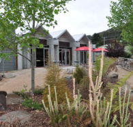 Tin Dragon Interpretation Centre and Cafe - Accommodation Gold Coast