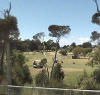 Greens Beach Golf Course - Accommodation Gold Coast