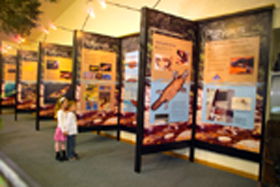 Platypus Experience - Accommodation Gold Coast 0