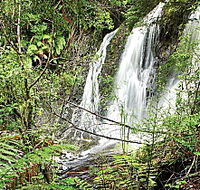 Hogarth Falls - Accommodation Gold Coast