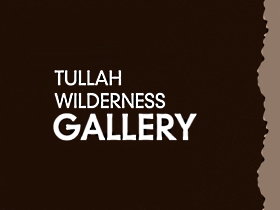 Tullah Wilderness Gallery - Accommodation Gold Coast 0
