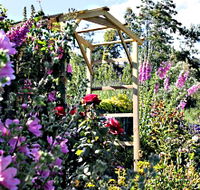 Thelma Retreat Garden and Teahouse - Accommodation Gold Coast