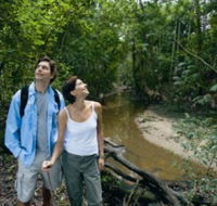 Mooloolah River National Park Jowarra Section - Accommodation Gold Coast