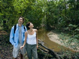 Mooloolah River National Park, Jowarra Section - Accommodation Gold Coast 0