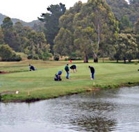 Penguin Golf Course - Accommodation Gold Coast