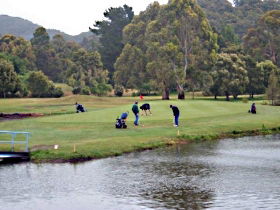 Penguin Golf Course - Accommodation Gold Coast 0
