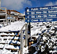 Ben Lomond National Park - Accommodation Gold Coast