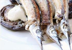 Canberra City ACT Accommodation Gold Coast