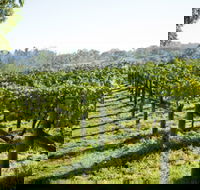 Surveyor's Hill Vineyards - Gold Coast 4U