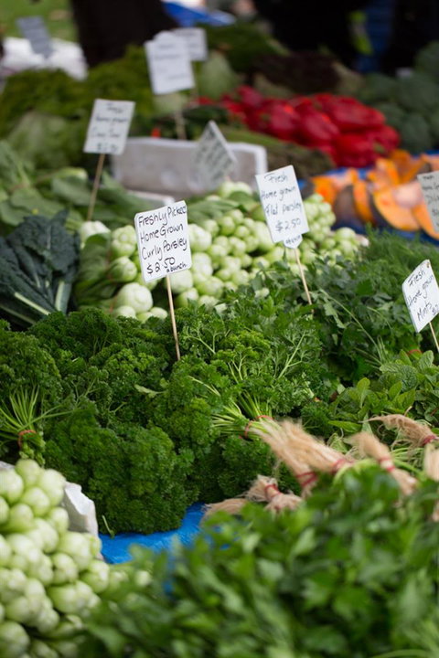 Salamanca Market - Accommodation Gold Coast 5