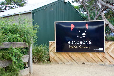 Bonorong Wildlife Sanctuary - Accommodation Gold Coast 1