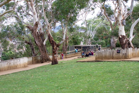 Bonorong Wildlife Sanctuary - Accommodation Gold Coast 2