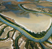 The Wilderness Gallery - Accommodation Gold Coast