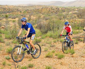 Araluen Mountain Bike Trails - Accommodation Gold Coast 0
