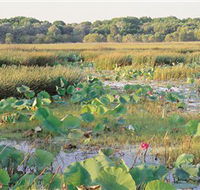 Fogg Dam Conservation Reserve - Accommodation Gold Coast