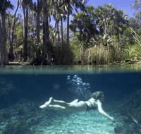 Bitter Springs - Accommodation Gold Coast