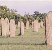 Magnetic Termite Mounds - Accommodation Gold Coast