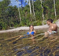 Tjaynera/Sandy Creek Falls - Accommodation Gold Coast