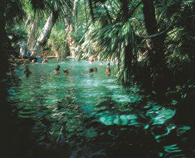 Mataranka Thermal Pool - Accommodation Gold Coast 0
