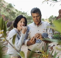 Simpsons Gap - Accommodation Gold Coast