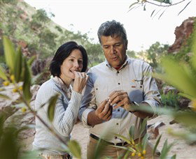 Simpsons Gap - Accommodation Gold Coast 0