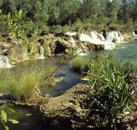 Flora River Nature Park - Accommodation Gold Coast