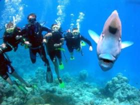 The Aarhus Dive Site - Accommodation Gold Coast 0