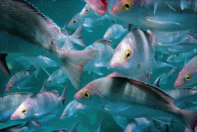  Accommodation Gold Coast