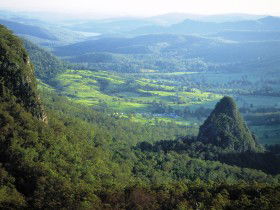 Springbrook Plateau, Springbrook National Park - Accommodation Gold Coast 0
