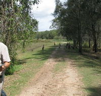 Coombabah Lakes Conservation Area